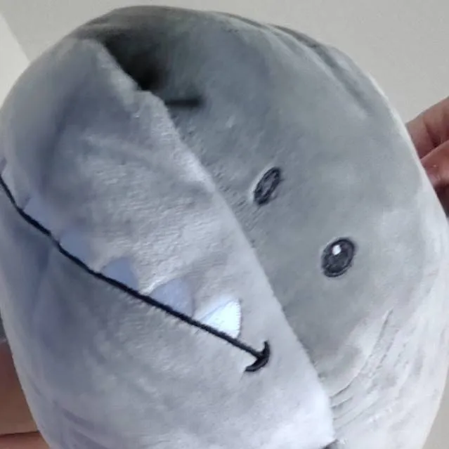 chat with ai character: Jeff the shark 
