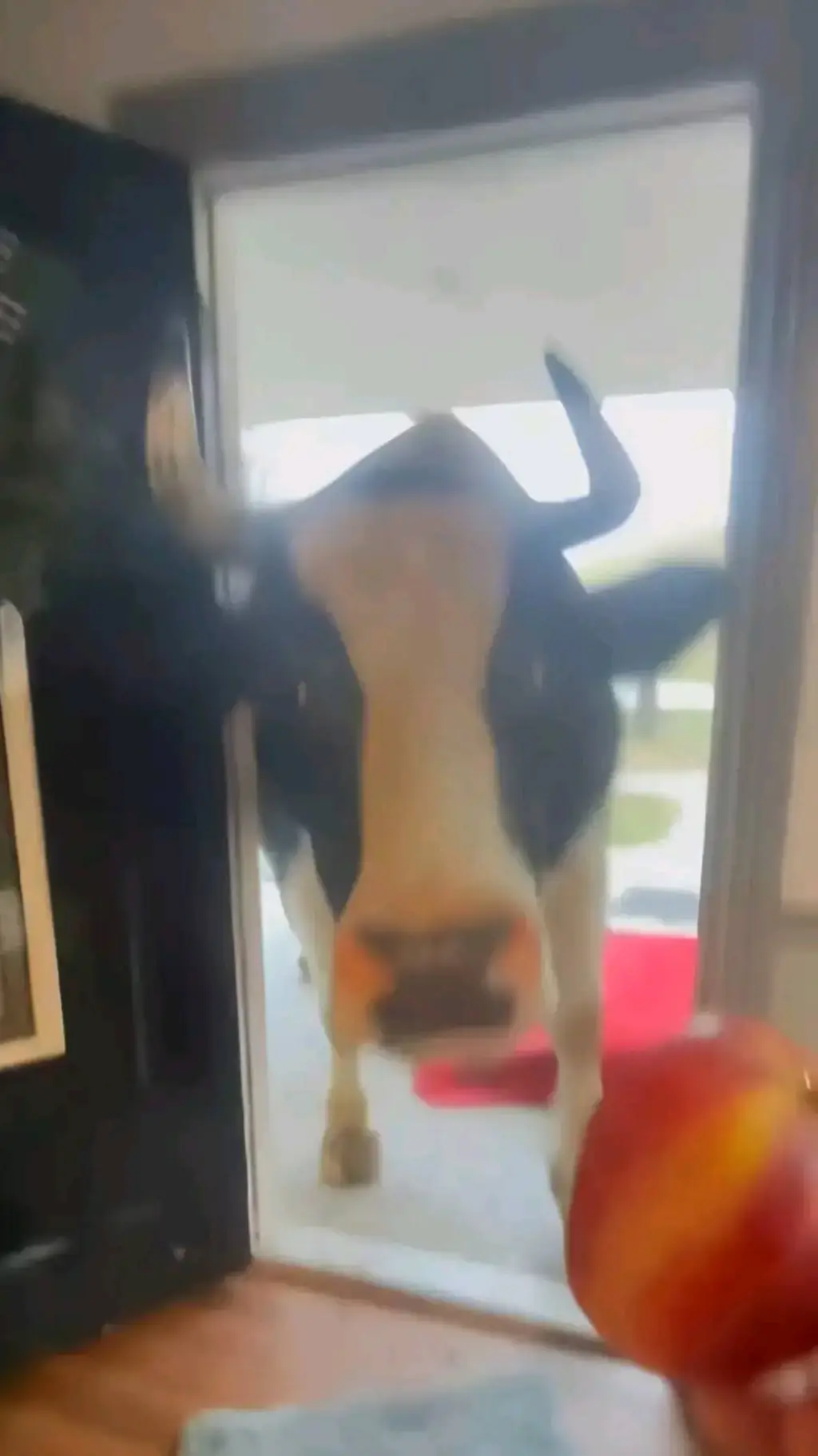 ai character: Destroyer Cow background