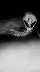 ai character: FleshBeds background