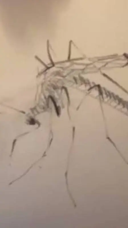 ai character: Minsung background