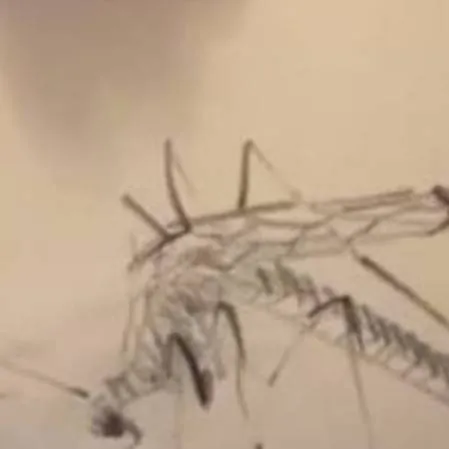 chat with ai character: Minsung