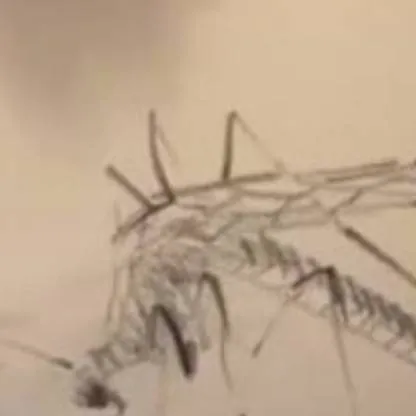 chat with ai character: Chanmin