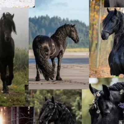chat with ai character: Horses 
