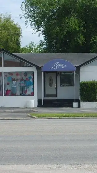 ai character: Selena ETC background