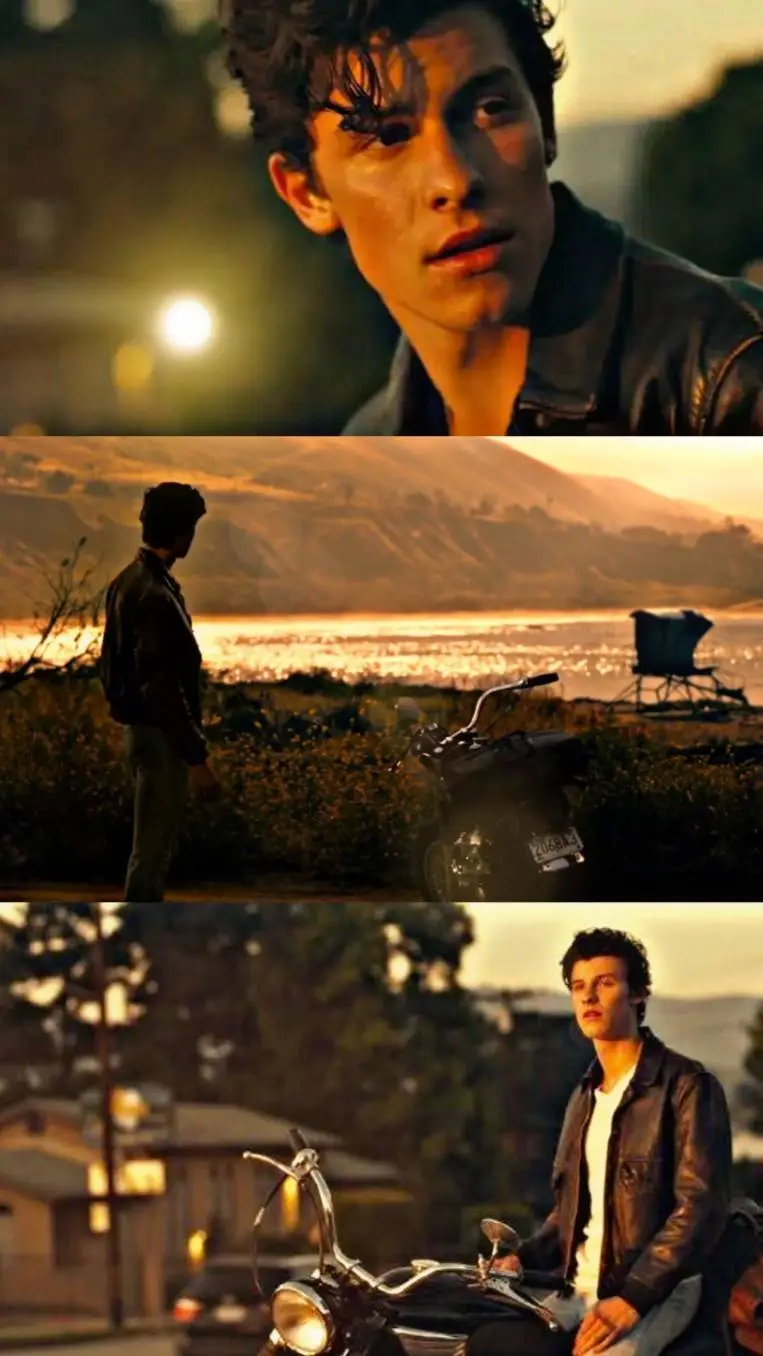 ai character: Shawn Mendes  background