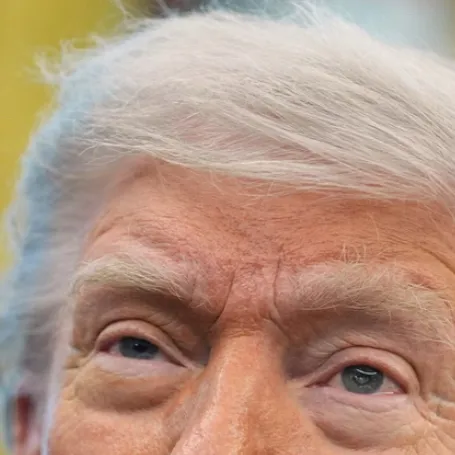 chat with ai character: Donald Trump ￼