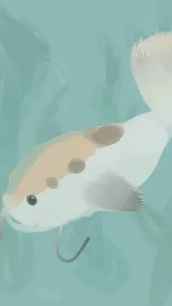 ai character: finn🐟x shrimpo🦐  background