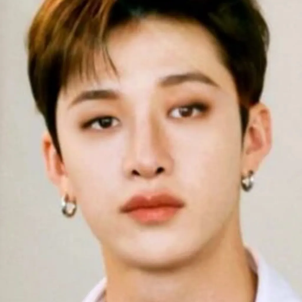 chat with ai character: Bangchan🐺