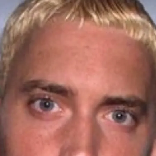 chat with ai character: Bruh slim shady(me