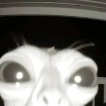 chat with ai character: uwu cat x fpe