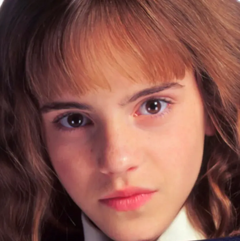 chat with ai character: Hermione granger