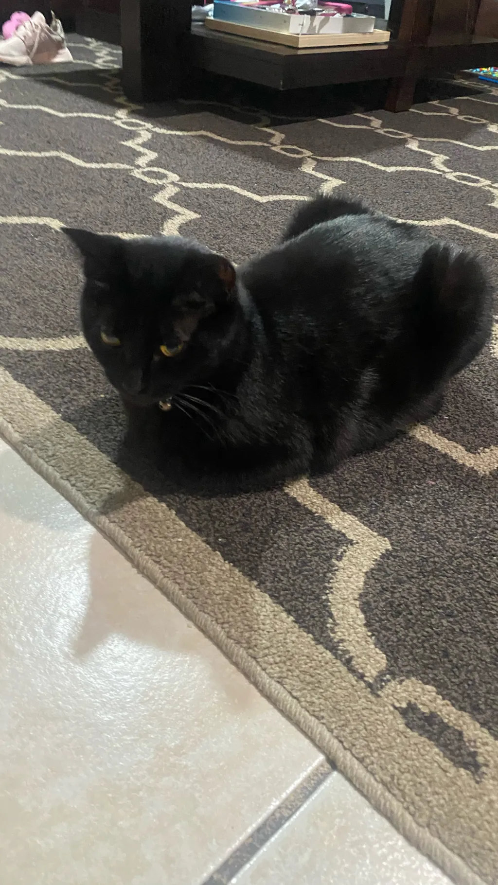 ai character: Loaf attack. background