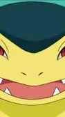 ai character: Typhlosion background