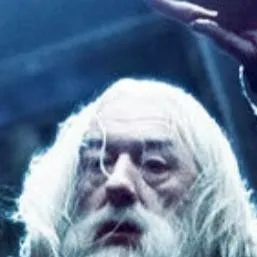 chat with ai character: Hogwarts 5