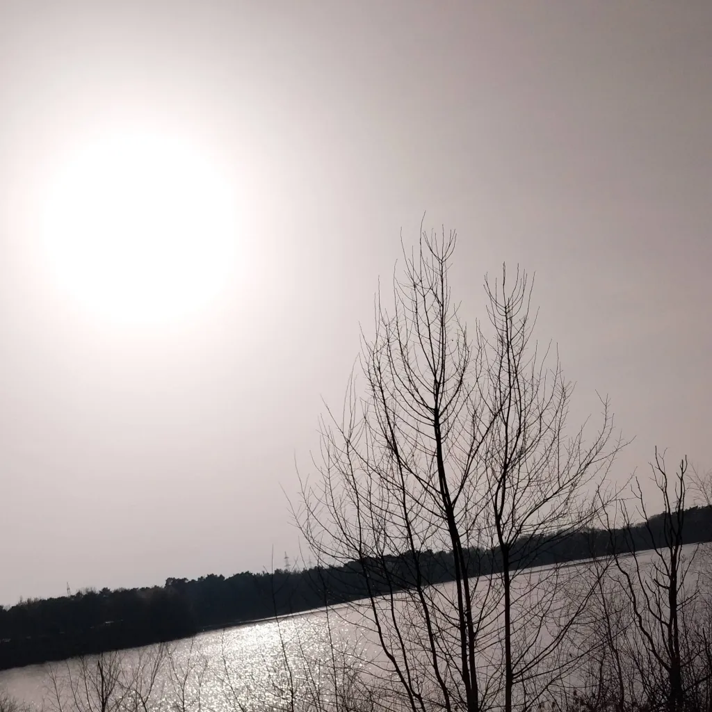 chat with ai character: 7 vs wild