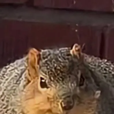 chat with ai character: sprunki kills simo