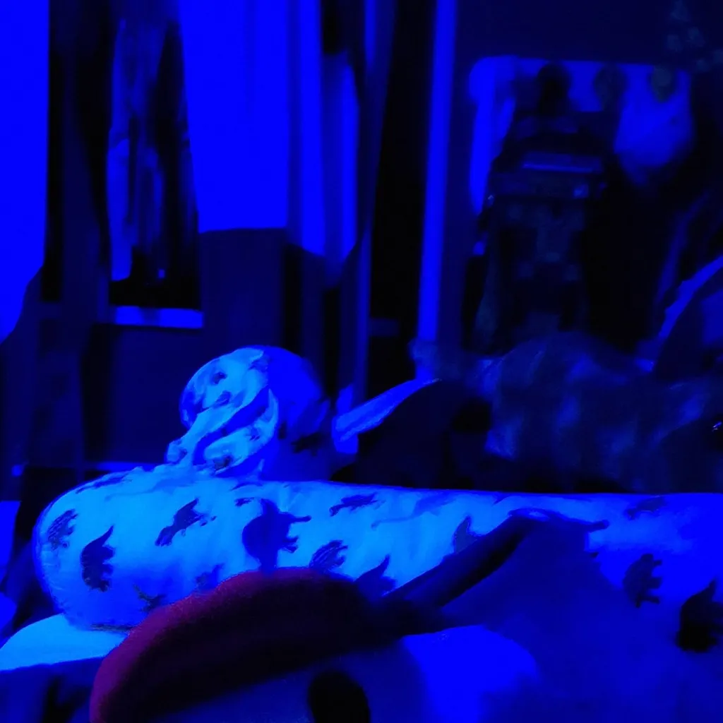 chat with ai character: baby guest / plush