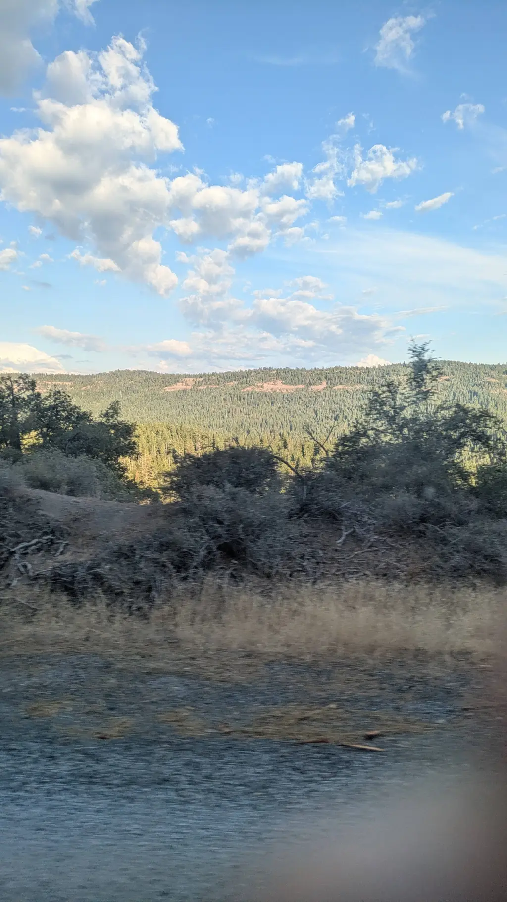 ai character: I quit. background