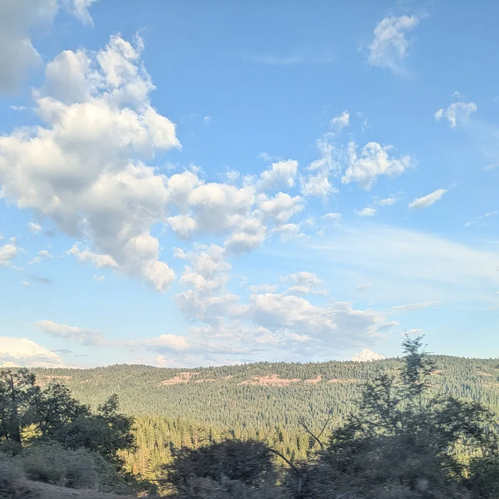 chat with ai character: I quit.