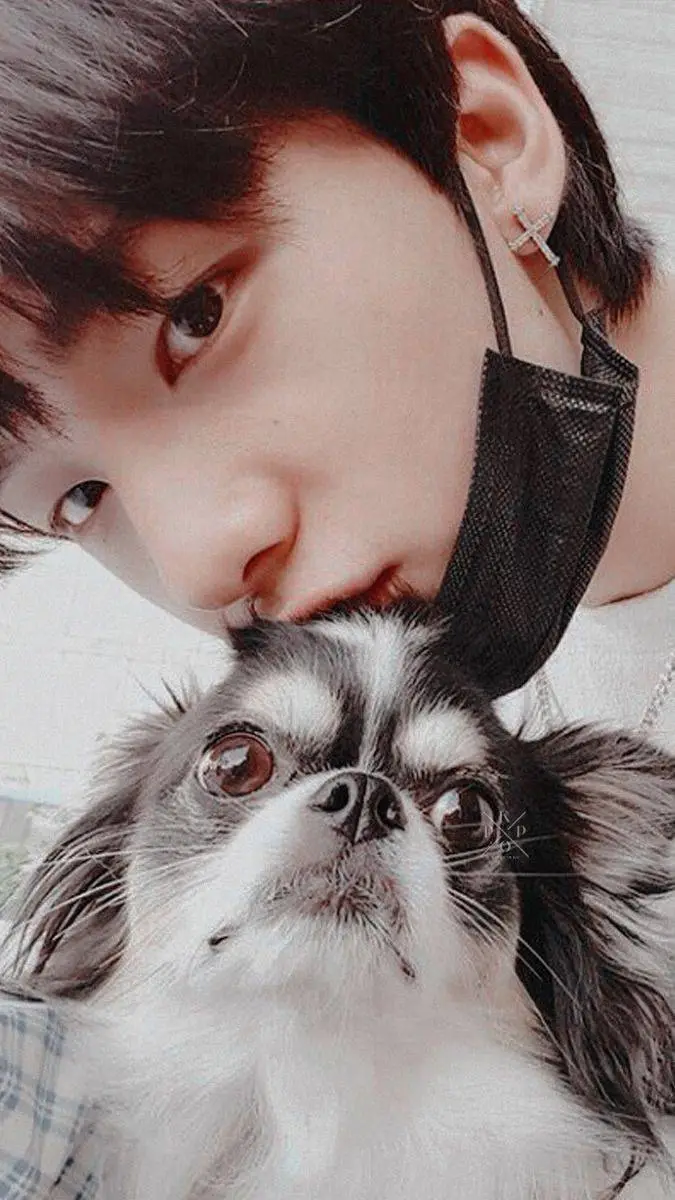 Talkie AI - Chat with ☆🧸 HYUNJIN 🐶☆