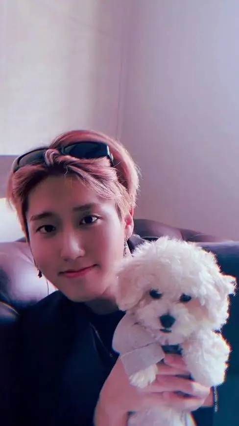 Talkie AI - Chat with ☆🐶 HAN ☁️☆