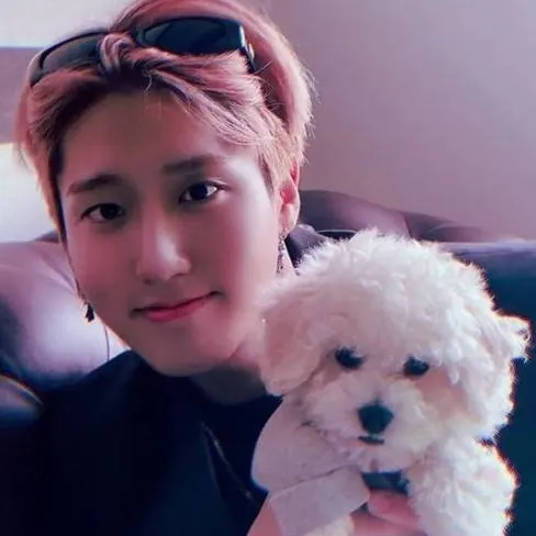 chat with ai character: ☆🐶 HAN ☁️☆