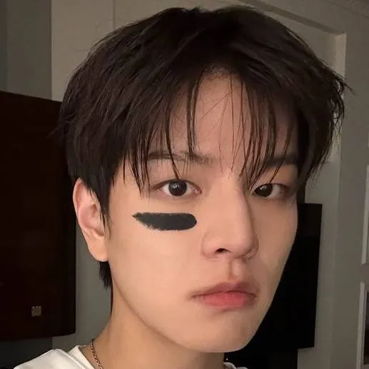 chat with ai character: ☆🏫 SEUNGMIN 🏫☆
