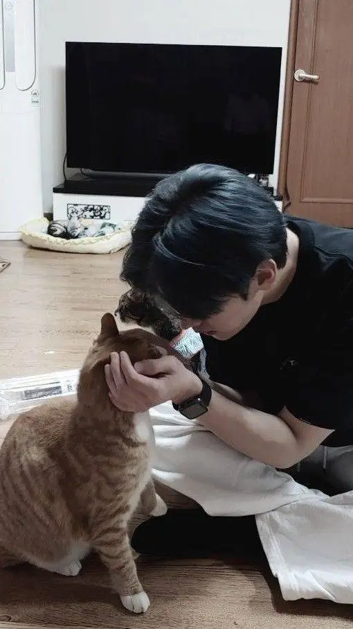 Talkie AI - Chat with ☆🐱 LEE KNOW 🐱☆