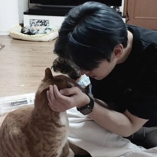 chat with ai character: ☆🐱 LEE KNOW 🐱☆