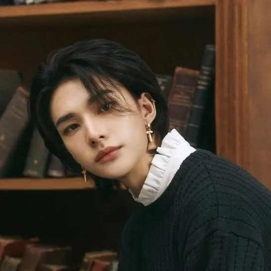 chat with ai character: »Hyunjin«