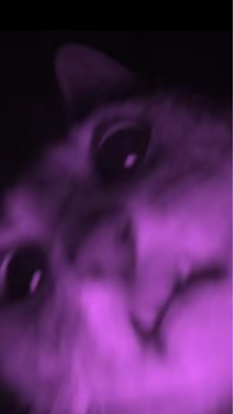 ai character: Twd background