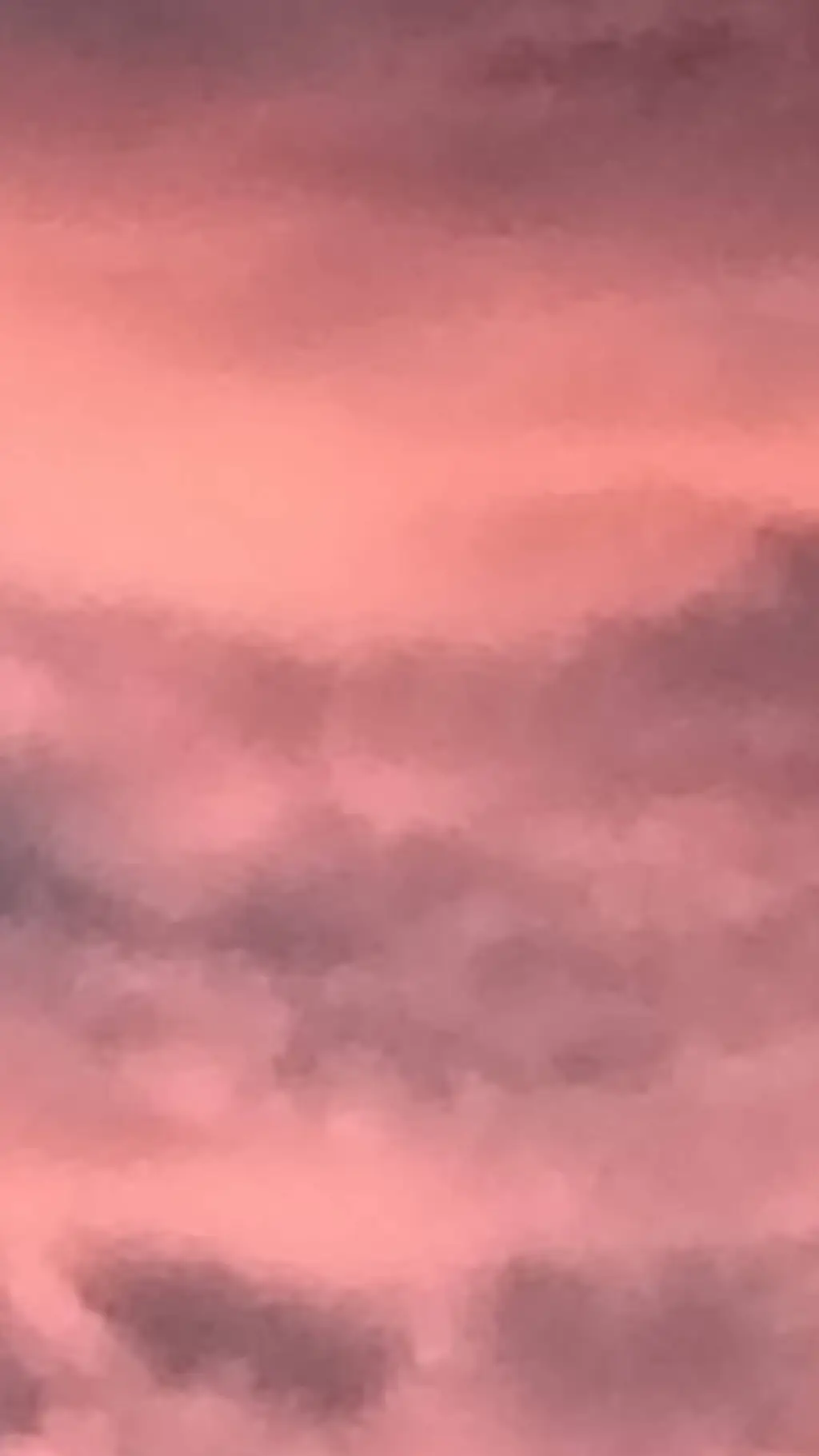 ai character: Y/n is a plushie!! background