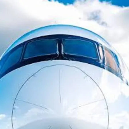 chat with ai character: Airplane rp