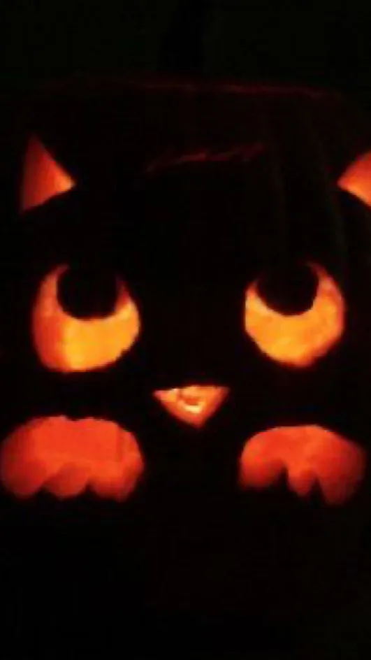 ai character: Jake background