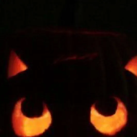 chat with ai character: Jake