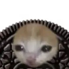 chat with ai character: Oreo