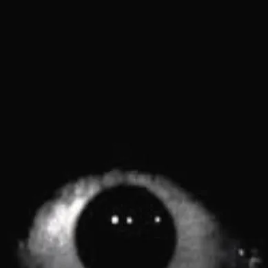 chat with ai character: Creepypasta 🔪