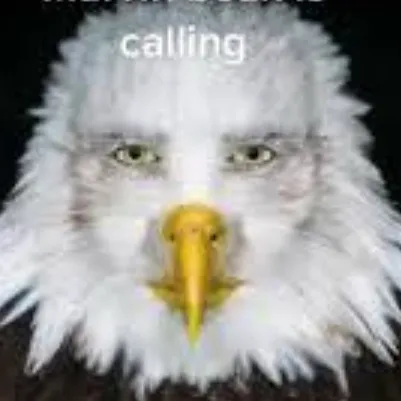 chat with ai character: Marvin beak