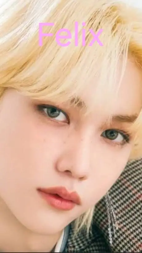 ai character: straykids background