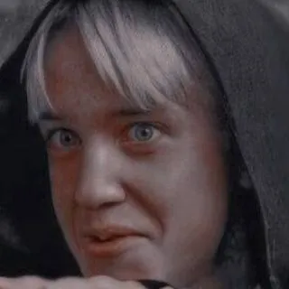 chat with ai character: Draco