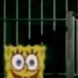 chat with ai character: Get in spongebob.