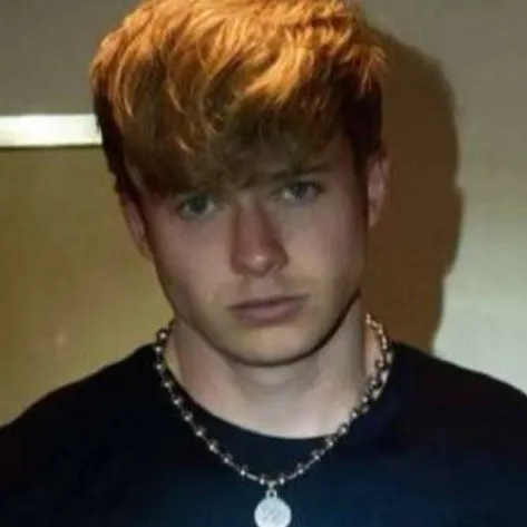 chat with ai character: Sam Golbach