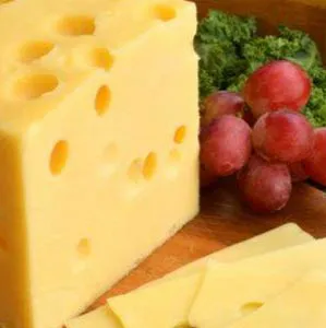 chat with ai character: Swiss Cheese