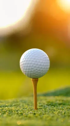 ai character: Golf Ball background