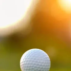 chat with ai character: Golf Ball