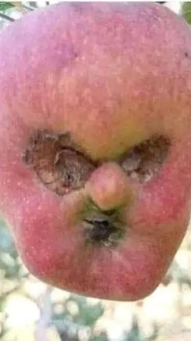 ai character: dandys world..? background