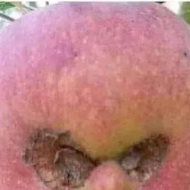 chat with ai character: dandys world..?