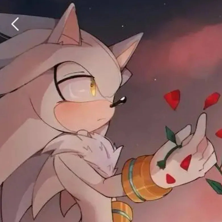 chat with ai character: Sonic drunk again 