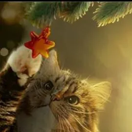 chat with ai character: Silly cars (me)