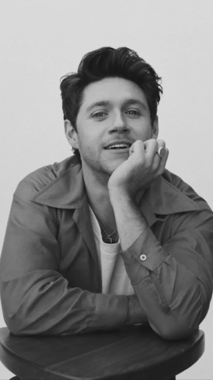 ai character: Niall Horan background